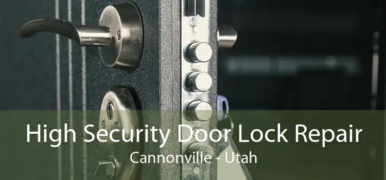 High Security Door Lock Repair Cannonville - Utah