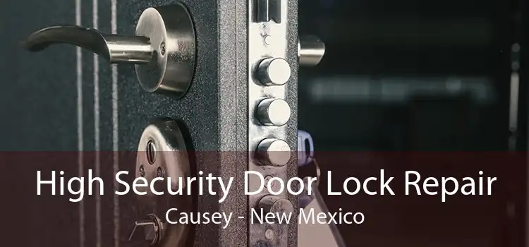 High Security Door Lock Repair Causey - New Mexico