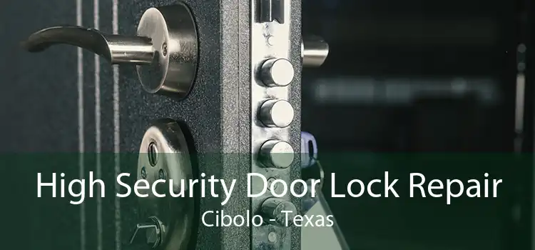 High Security Door Lock Repair Cibolo - Texas