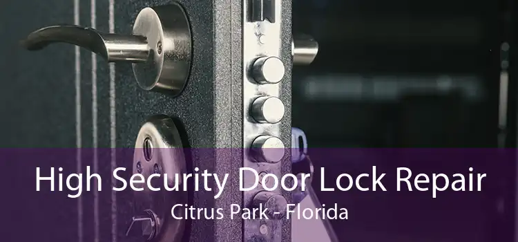 High Security Door Lock Repair Citrus Park - Florida