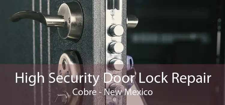 High Security Door Lock Repair Cobre - New Mexico