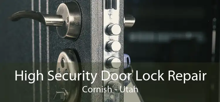 High Security Door Lock Repair Cornish - Utah