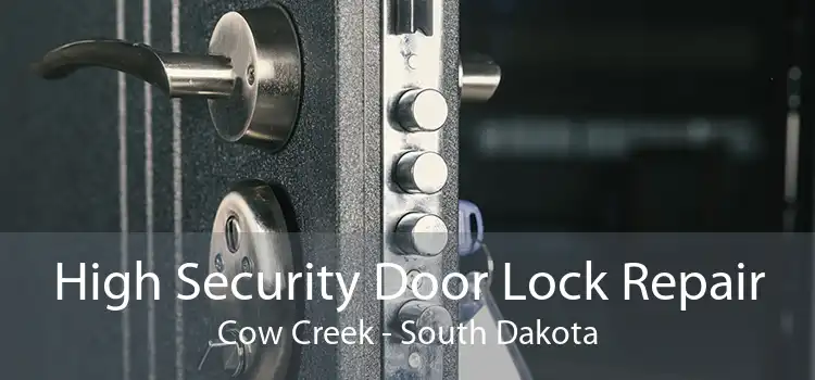 High Security Door Lock Repair Cow Creek - South Dakota