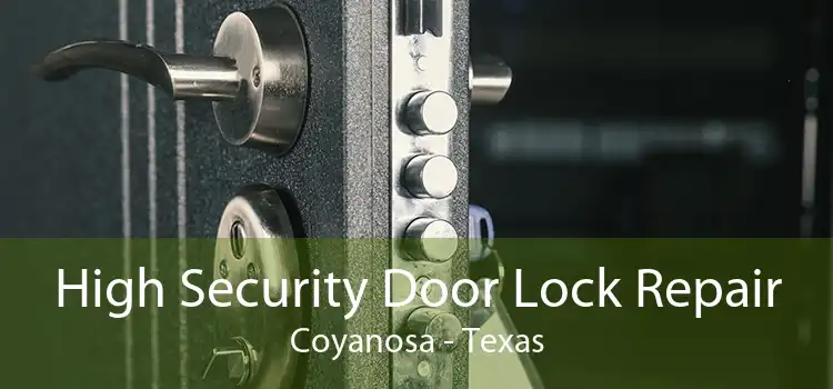 High Security Door Lock Repair Coyanosa - Texas