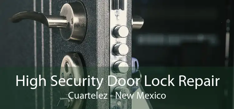 High Security Door Lock Repair Cuartelez - New Mexico