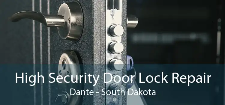 High Security Door Lock Repair Dante - South Dakota