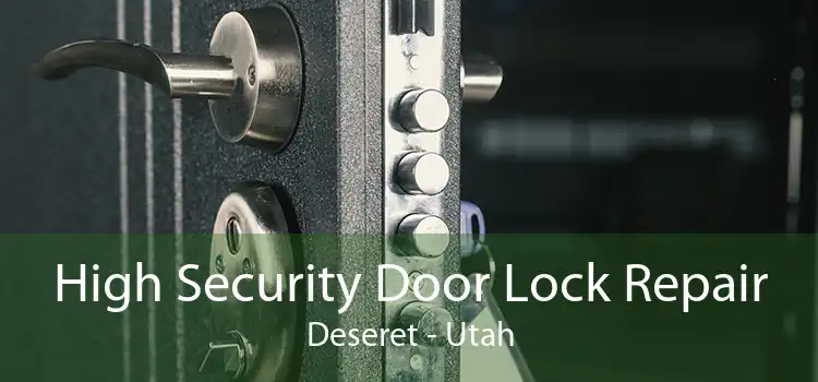 High Security Door Lock Repair Deseret - Utah
