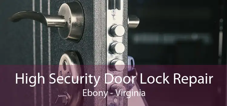 High Security Door Lock Repair Ebony - Virginia