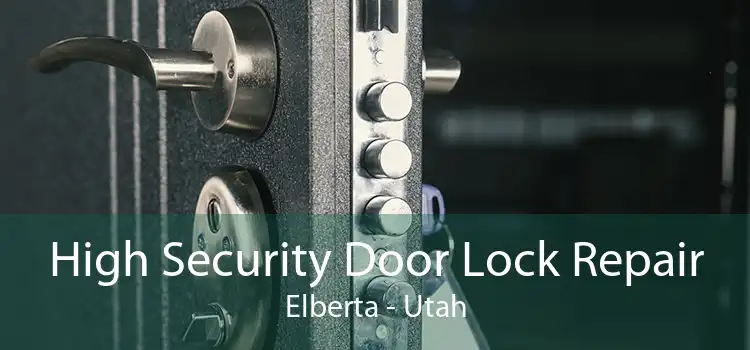 High Security Door Lock Repair Elberta - Utah