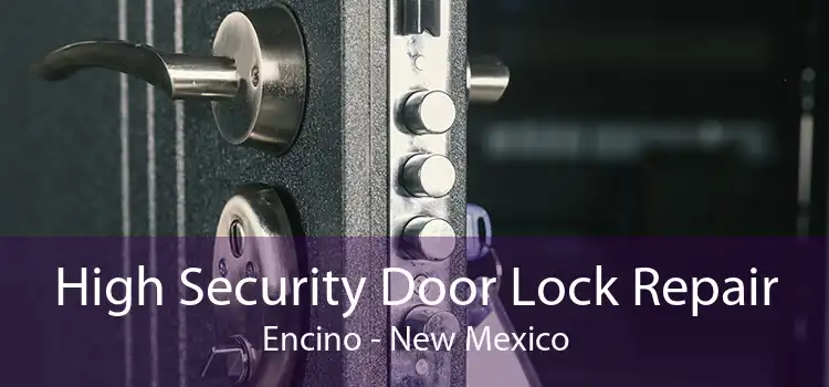 High Security Door Lock Repair Encino - New Mexico