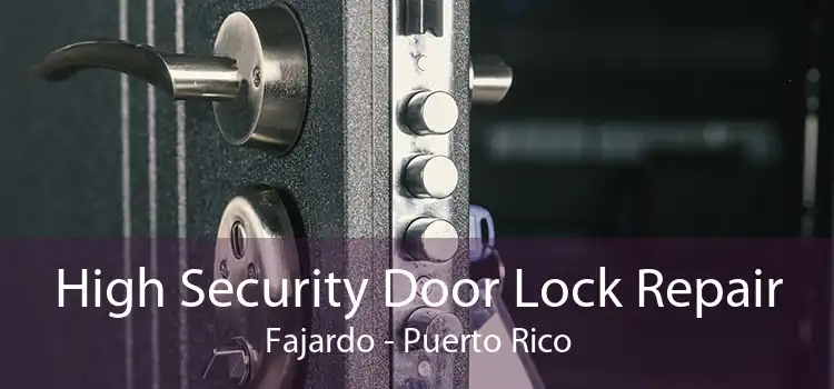 High Security Door Lock Repair Fajardo - Puerto Rico