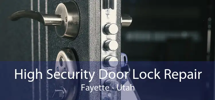 High Security Door Lock Repair Fayette - Utah