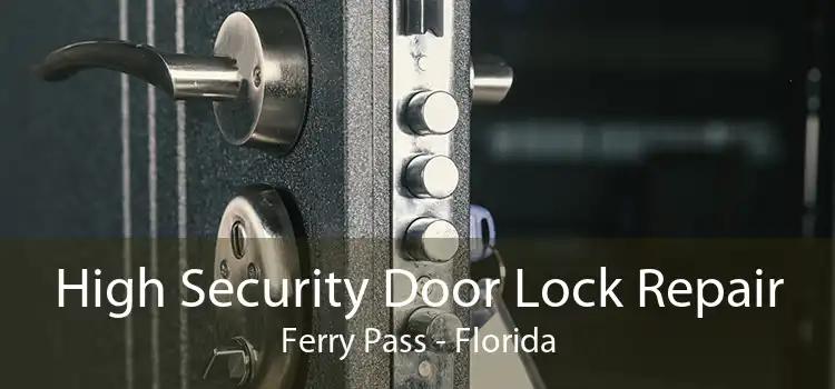 High Security Door Lock Repair Ferry Pass - Florida