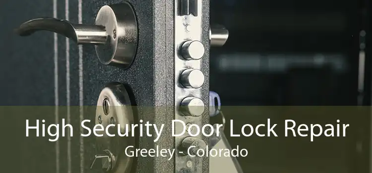 High Security Door Lock Repair Greeley - Colorado