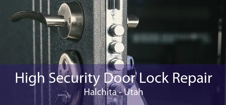 High Security Door Lock Repair Halchita - Utah
