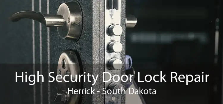 High Security Door Lock Repair Herrick - South Dakota
