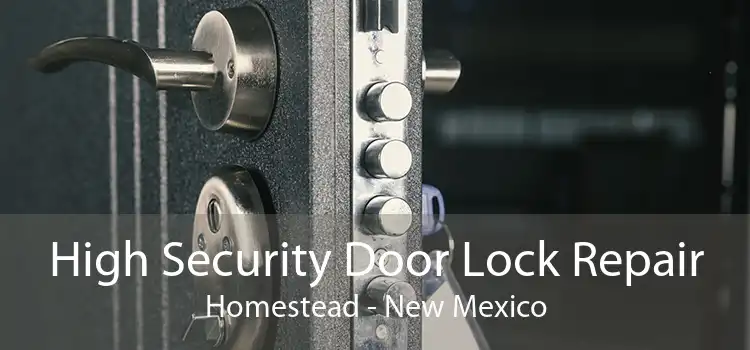 High Security Door Lock Repair Homestead - New Mexico