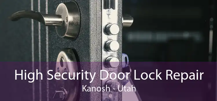 High Security Door Lock Repair Kanosh - Utah
