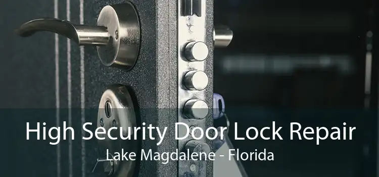 High Security Door Lock Repair Lake Magdalene - Florida