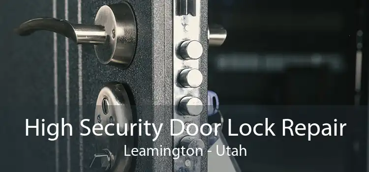 High Security Door Lock Repair Leamington - Utah