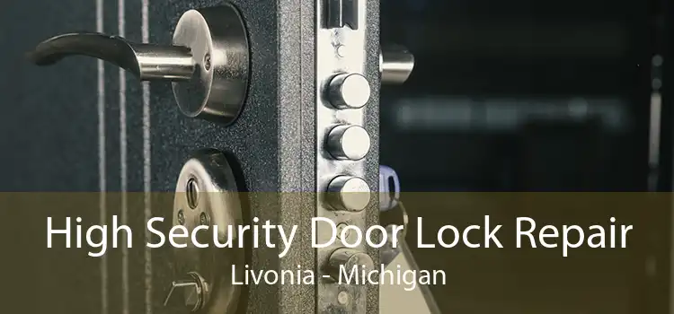 High Security Door Lock Repair Livonia - Michigan