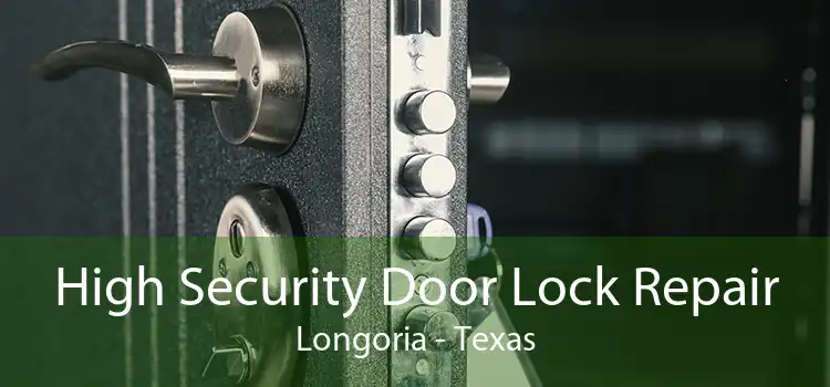 High Security Door Lock Repair Longoria - Texas
