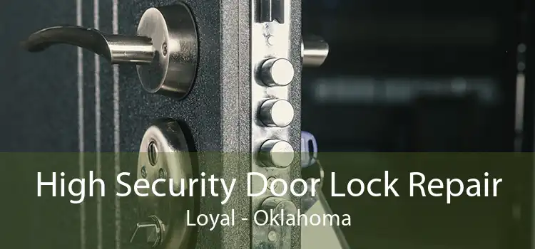 High Security Door Lock Repair Loyal - Oklahoma