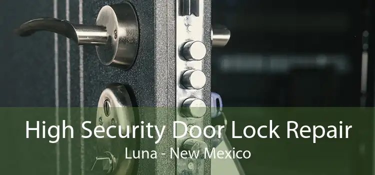 High Security Door Lock Repair Luna - New Mexico