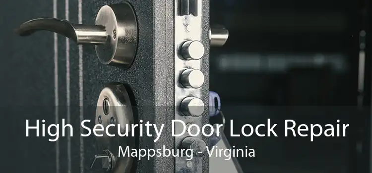High Security Door Lock Repair Mappsburg - Virginia