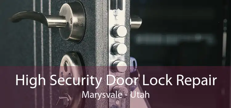 High Security Door Lock Repair Marysvale - Utah