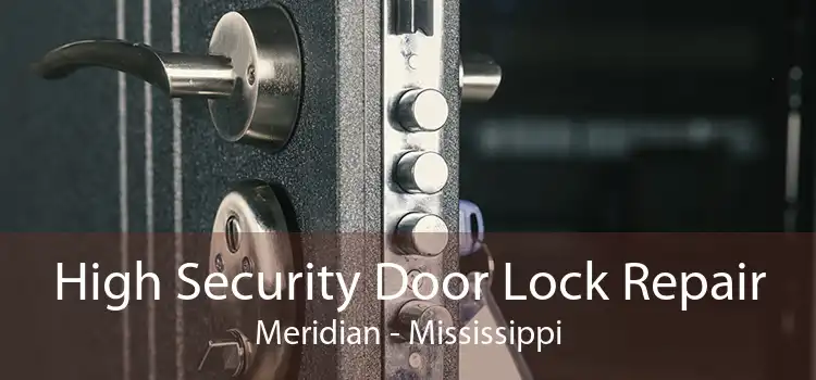 High Security Door Lock Repair Meridian - Mississippi