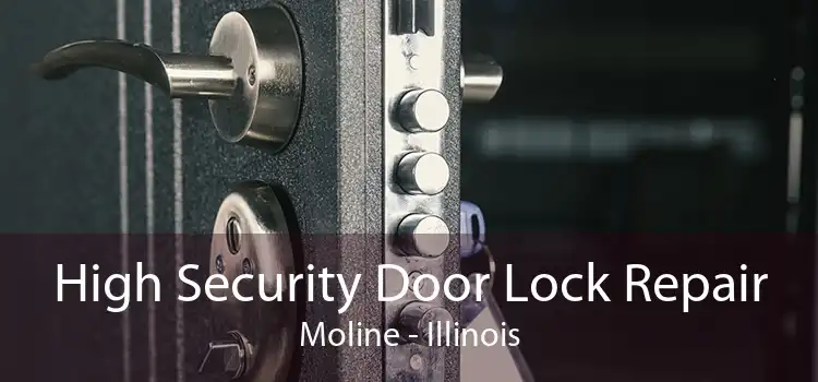 High Security Door Lock Repair Moline - Illinois