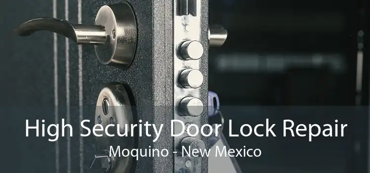 High Security Door Lock Repair Moquino - New Mexico