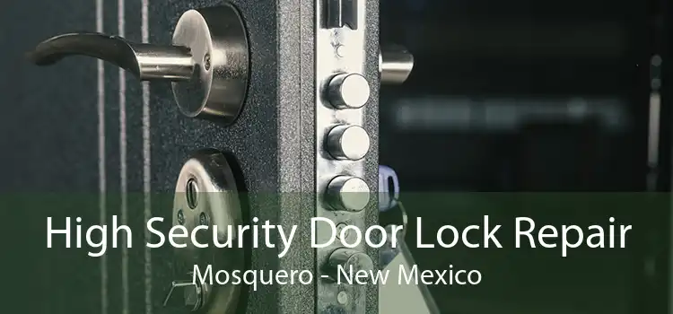 High Security Door Lock Repair Mosquero - New Mexico