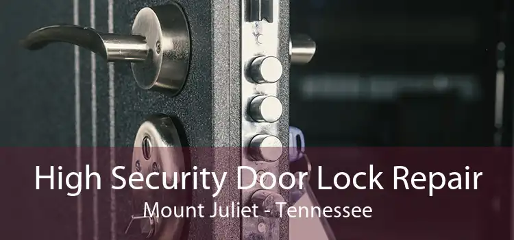 High Security Door Lock Repair Mount Juliet - Tennessee