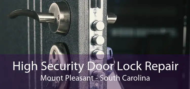 High Security Door Lock Repair Mount Pleasant - South Carolina