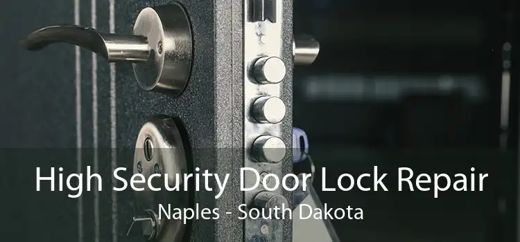 High Security Door Lock Repair Naples - South Dakota