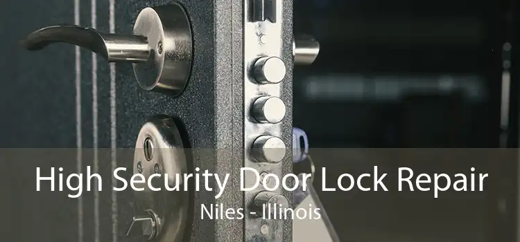 High Security Door Lock Repair Niles - Illinois