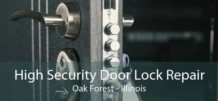 High Security Door Lock Repair Oak Forest - Illinois