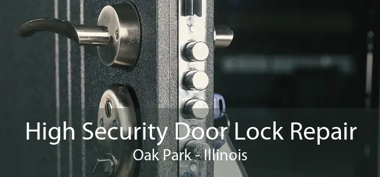 High Security Door Lock Repair Oak Park - Illinois