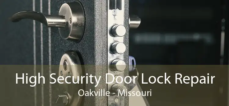 High Security Door Lock Repair Oakville - Missouri