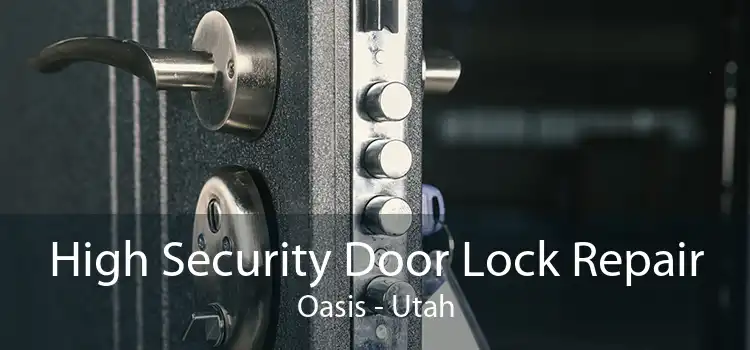 High Security Door Lock Repair Oasis - Utah