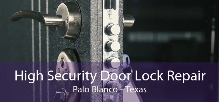 High Security Door Lock Repair Palo Blanco - Texas