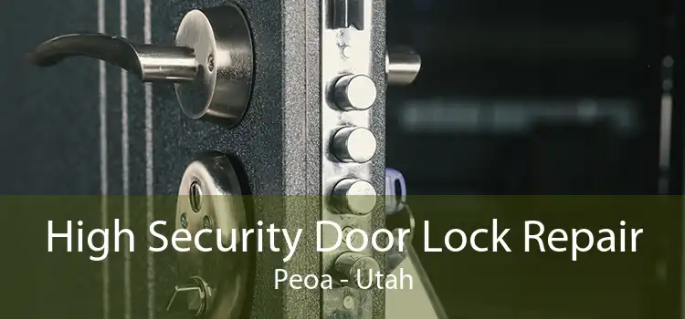 High Security Door Lock Repair Peoa - Utah