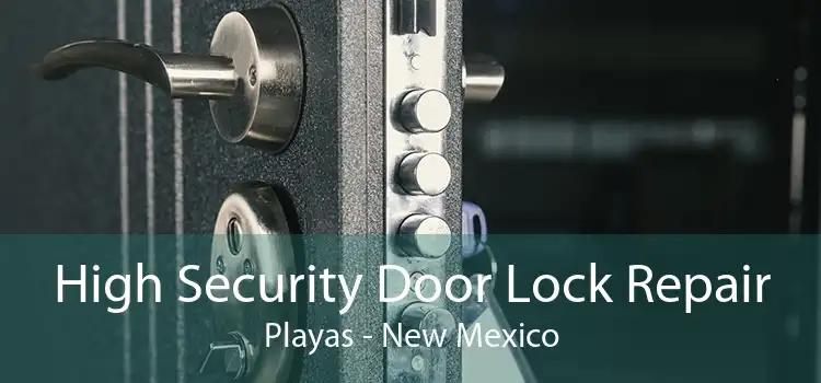 High Security Door Lock Repair Playas - New Mexico