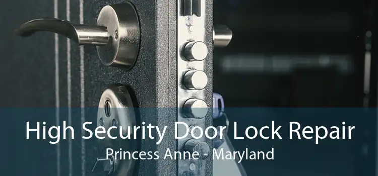 High Security Door Lock Repair Princess Anne - Maryland