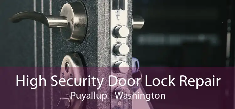 High Security Door Lock Repair Puyallup - Washington