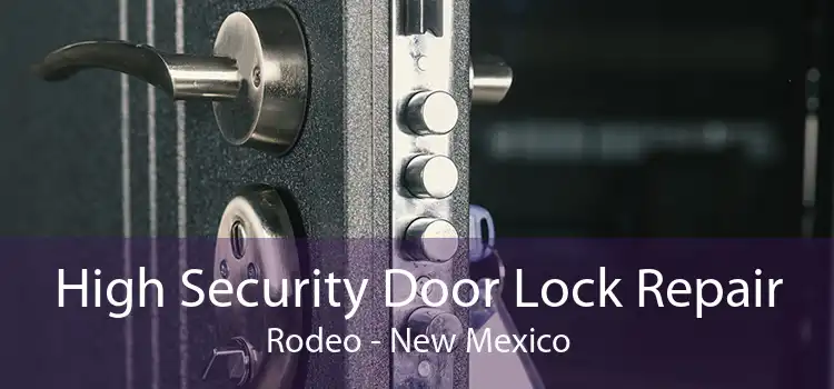 High Security Door Lock Repair Rodeo - New Mexico