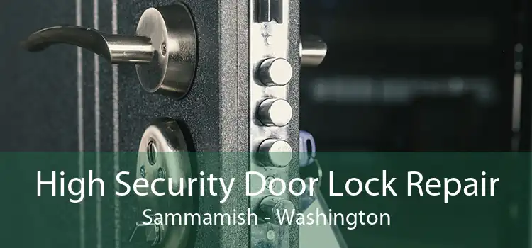 High Security Door Lock Repair Sammamish - Washington