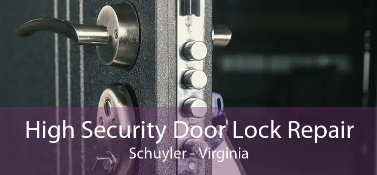 High Security Door Lock Repair Schuyler - Virginia